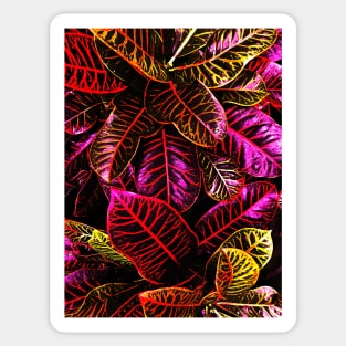 Pink Crotons Plant Sticker